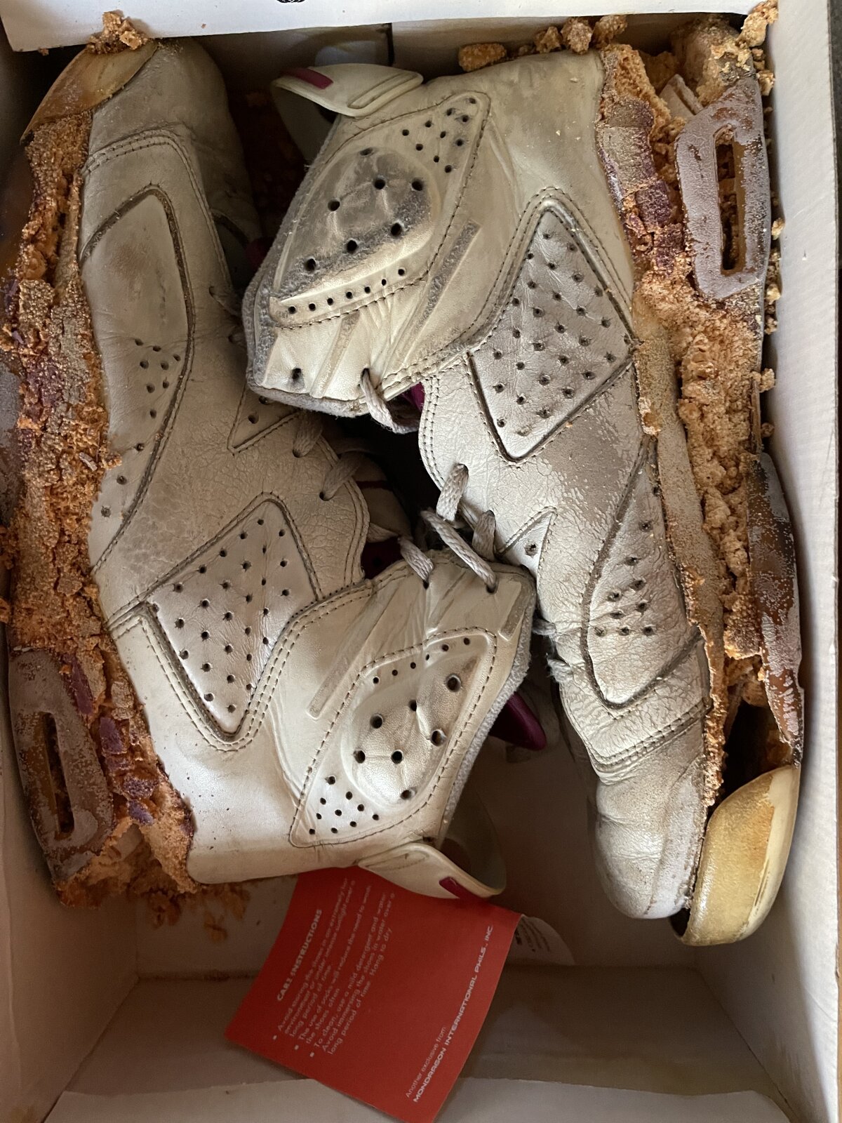 Air Jordan 6