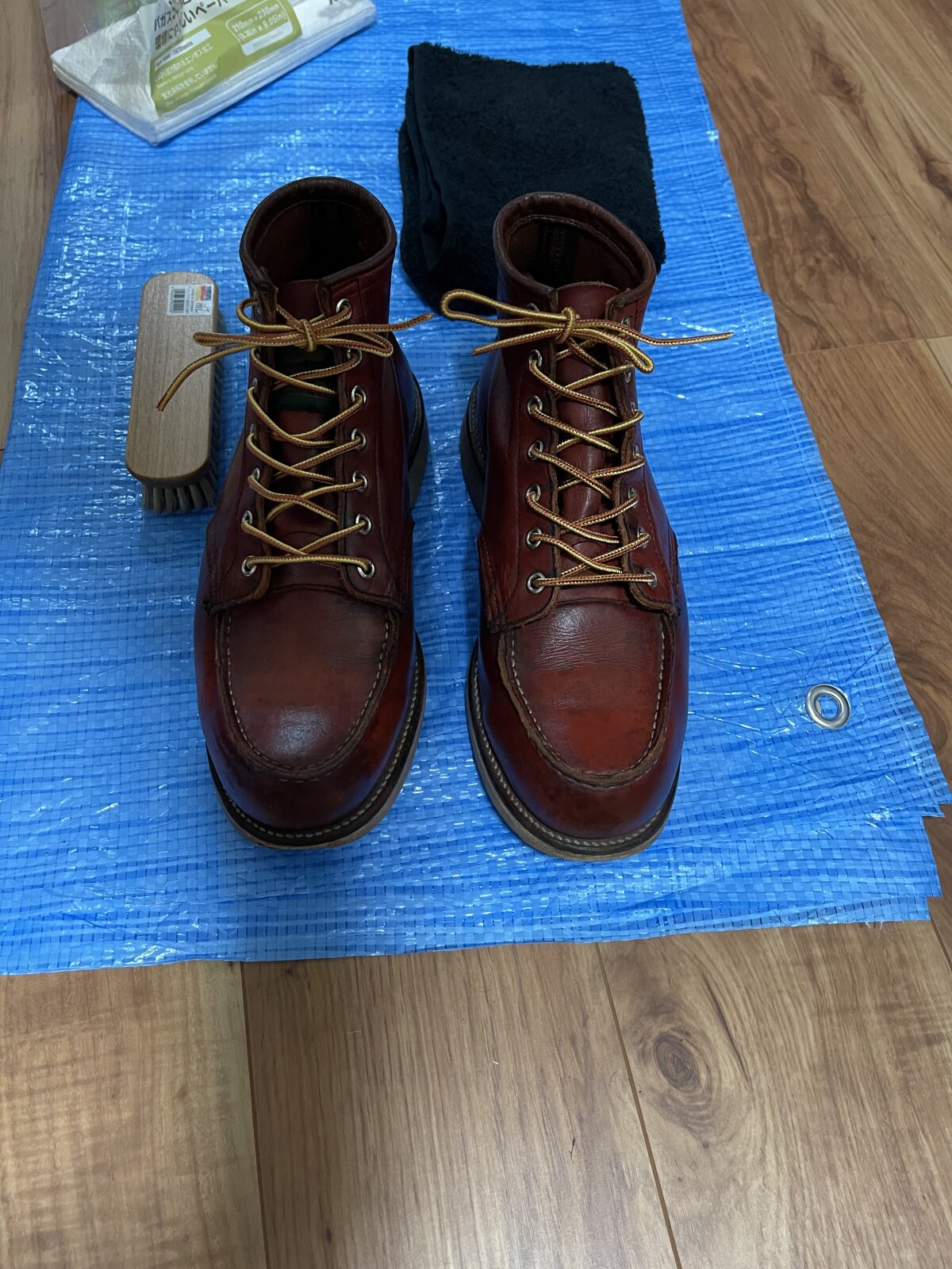875 Moc Toe（Irish Setter） の画像 3